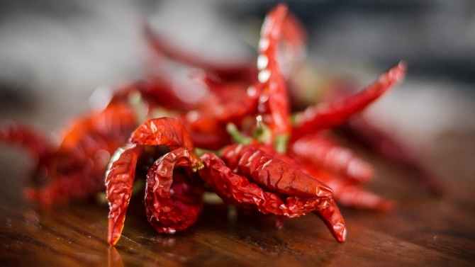 hot peppers to deter squirrels