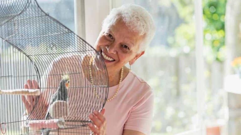 best birds for beginners