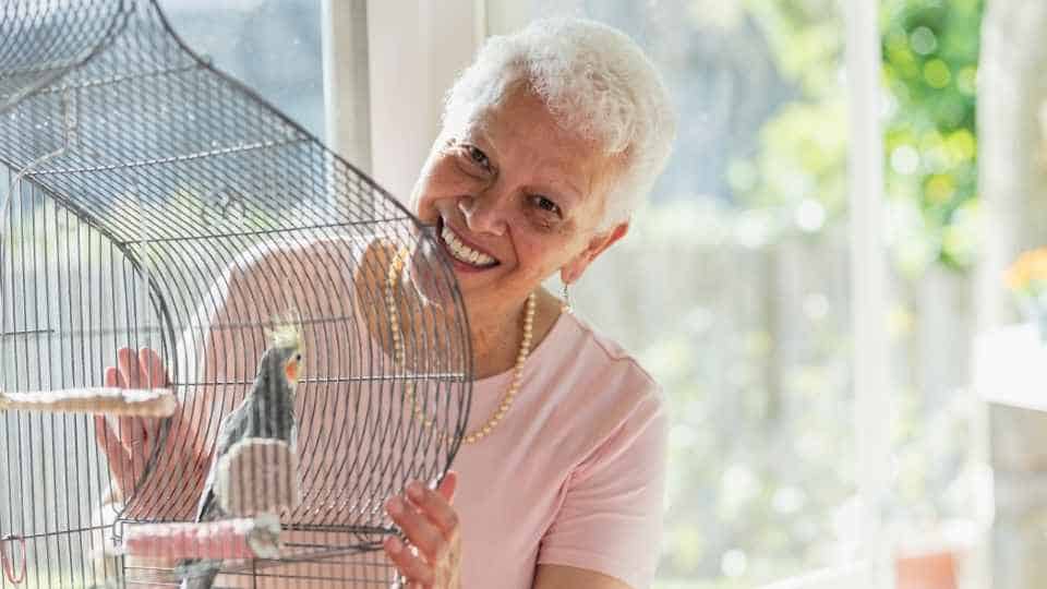 best birds for beginners